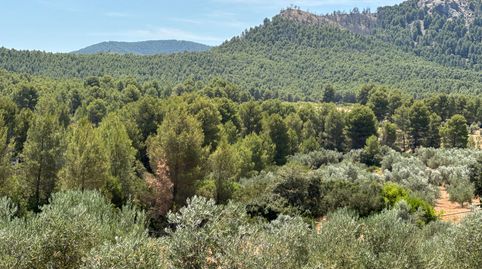 Finca Rústica de 82 Ha en Sierra de Burete, Cehegín | Vivienda, Almendros, Agua y Vistas Espectaculares