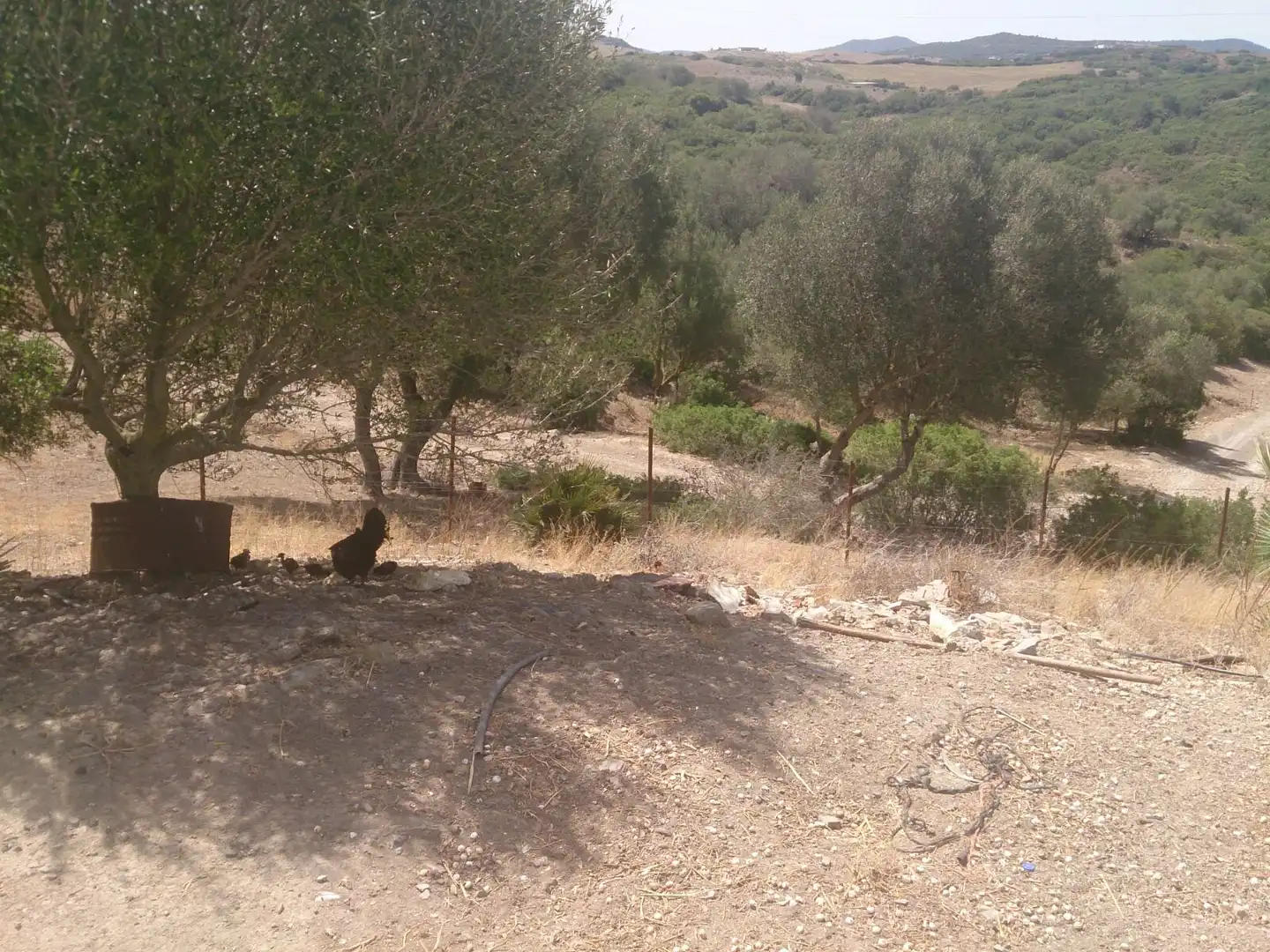 Terrenys i solars en venda a Carretera de Medina 68, imagen 12