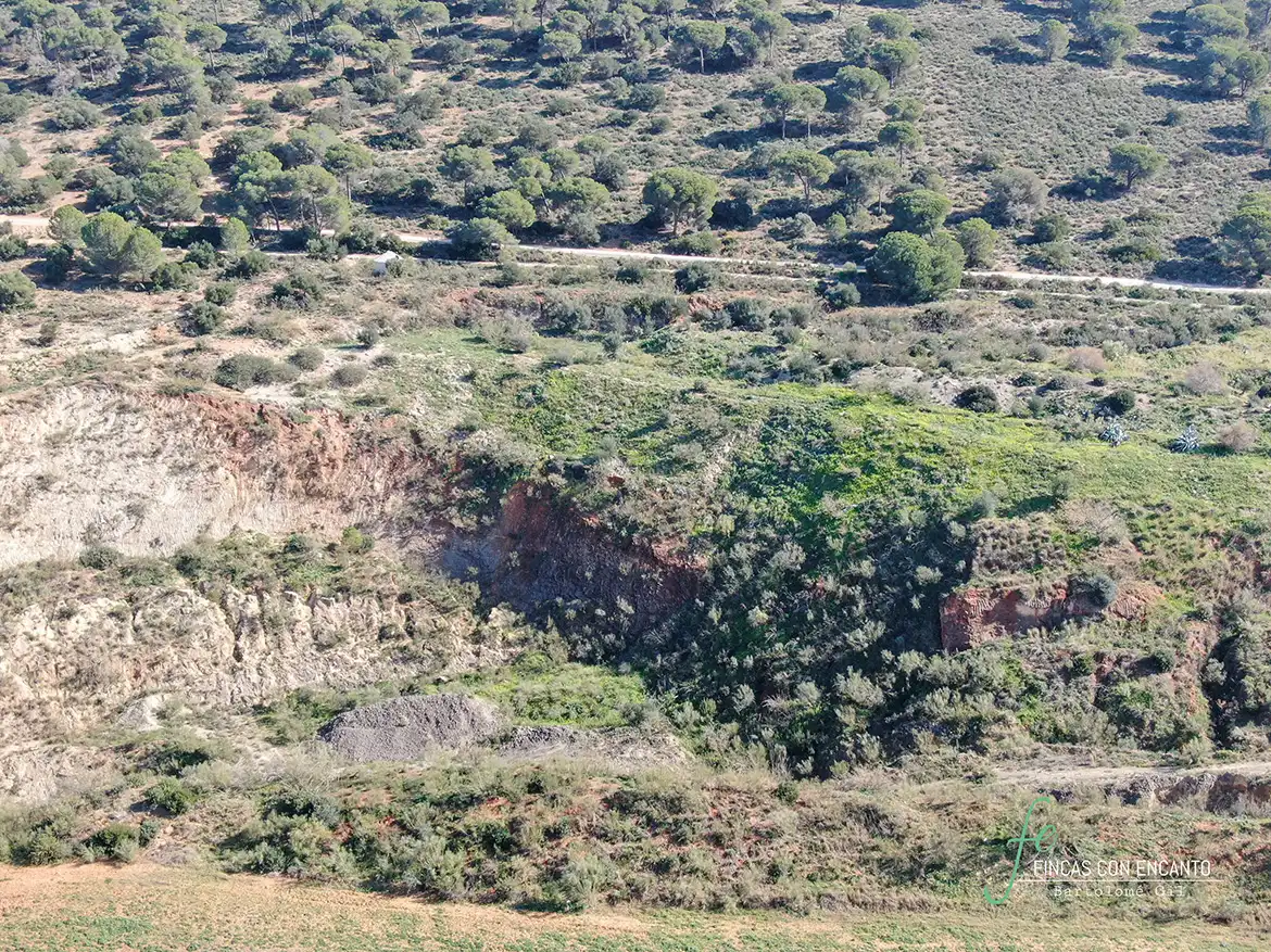 Terreno rustico in vendita a Arcos de la Frontera, imagen 7