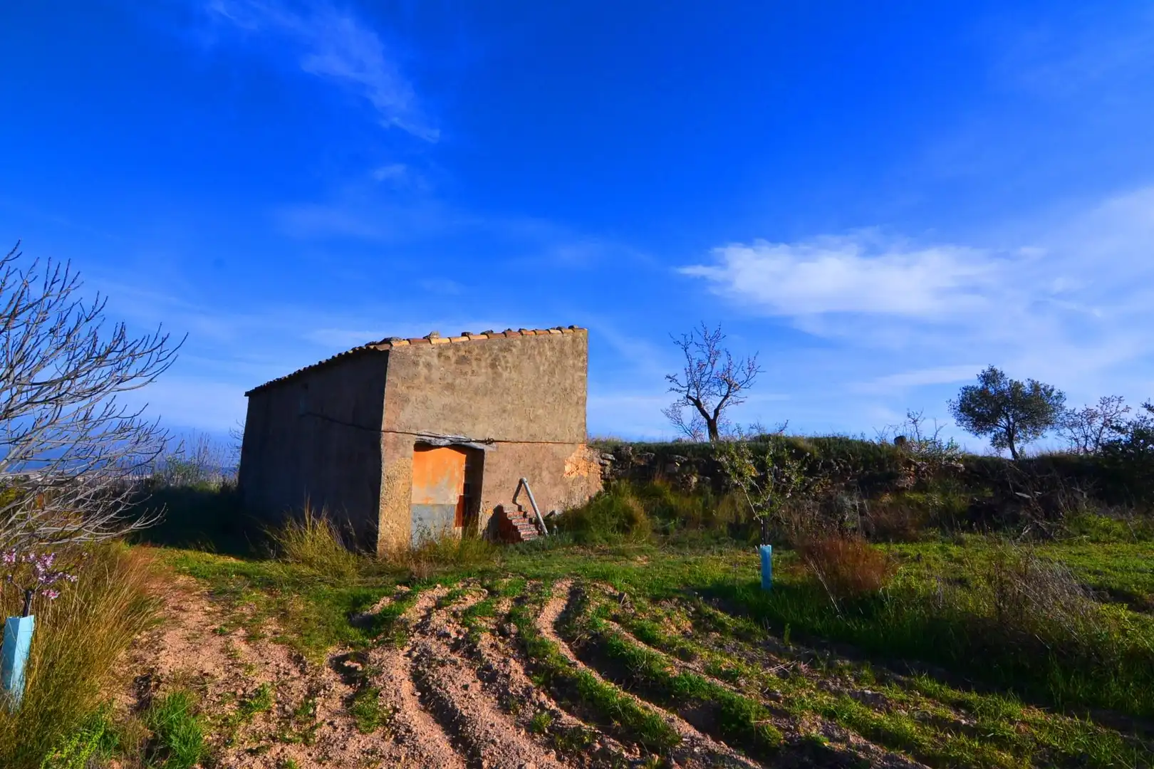 Rural land for sale in Gandesa, imagen 18