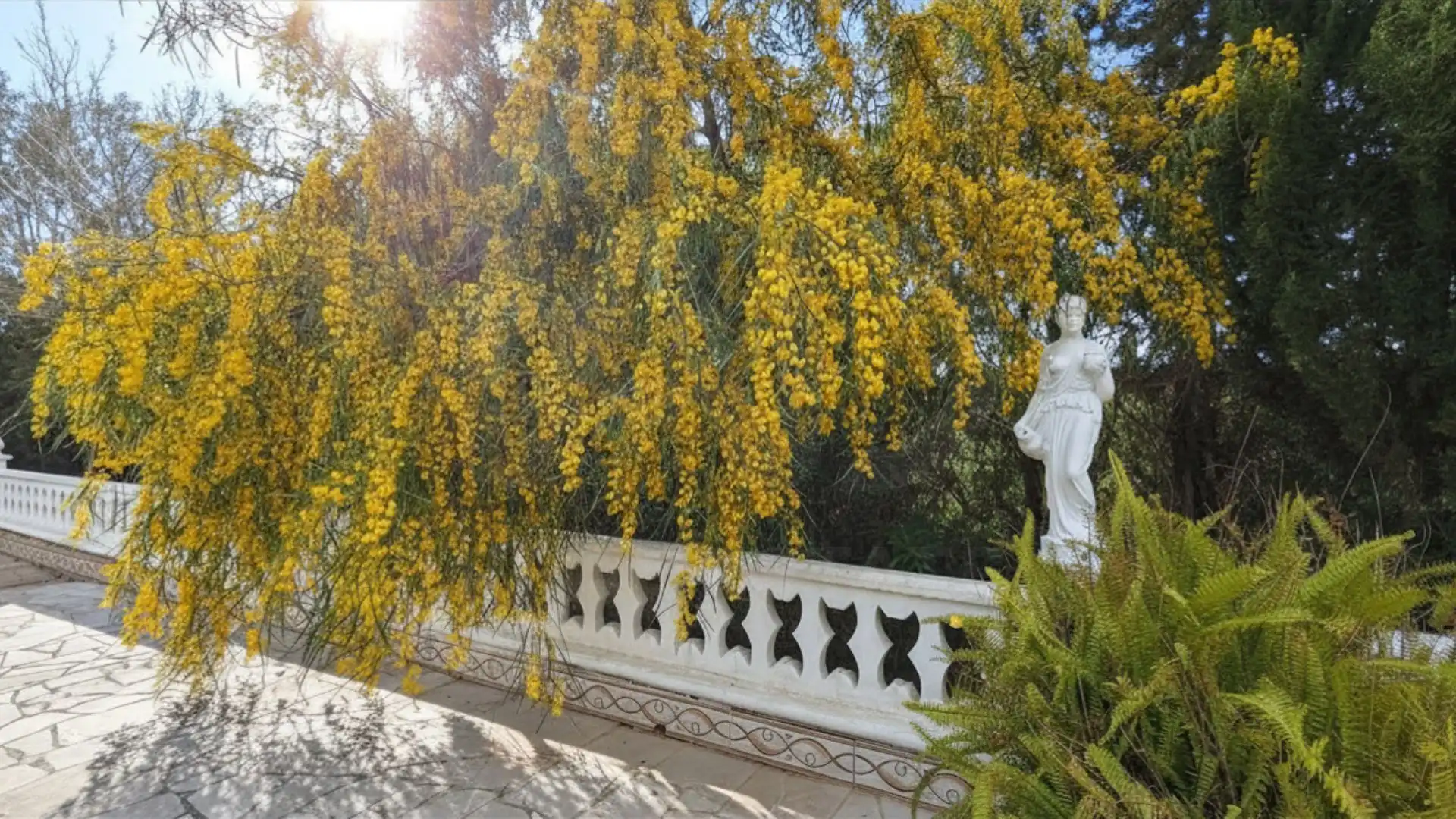 Garden of Houses for sale in Algaida  with Air Conditioner, Heating and Terrace