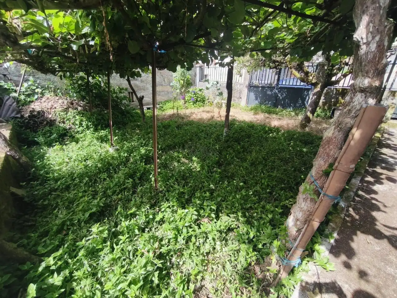 Casa o xalet en venda en Xunqueira de Ambía amb Calefacció, Jardí privat i Moblat