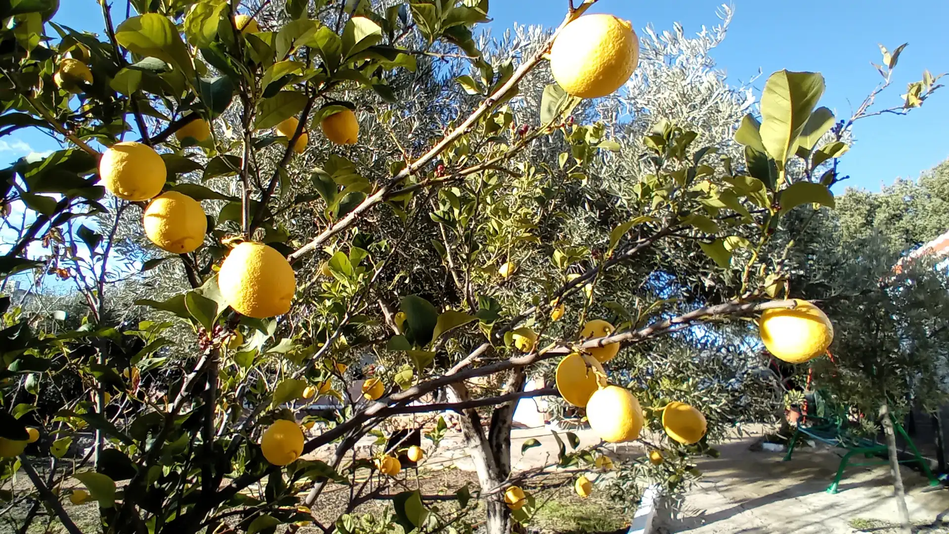 Casa rústica amb jardí en venda a Felix, imagen 16