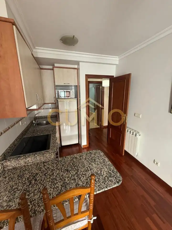 Cuina de Pis de lloguer en Gondomar amb Calefacció, Parquet i Moblat