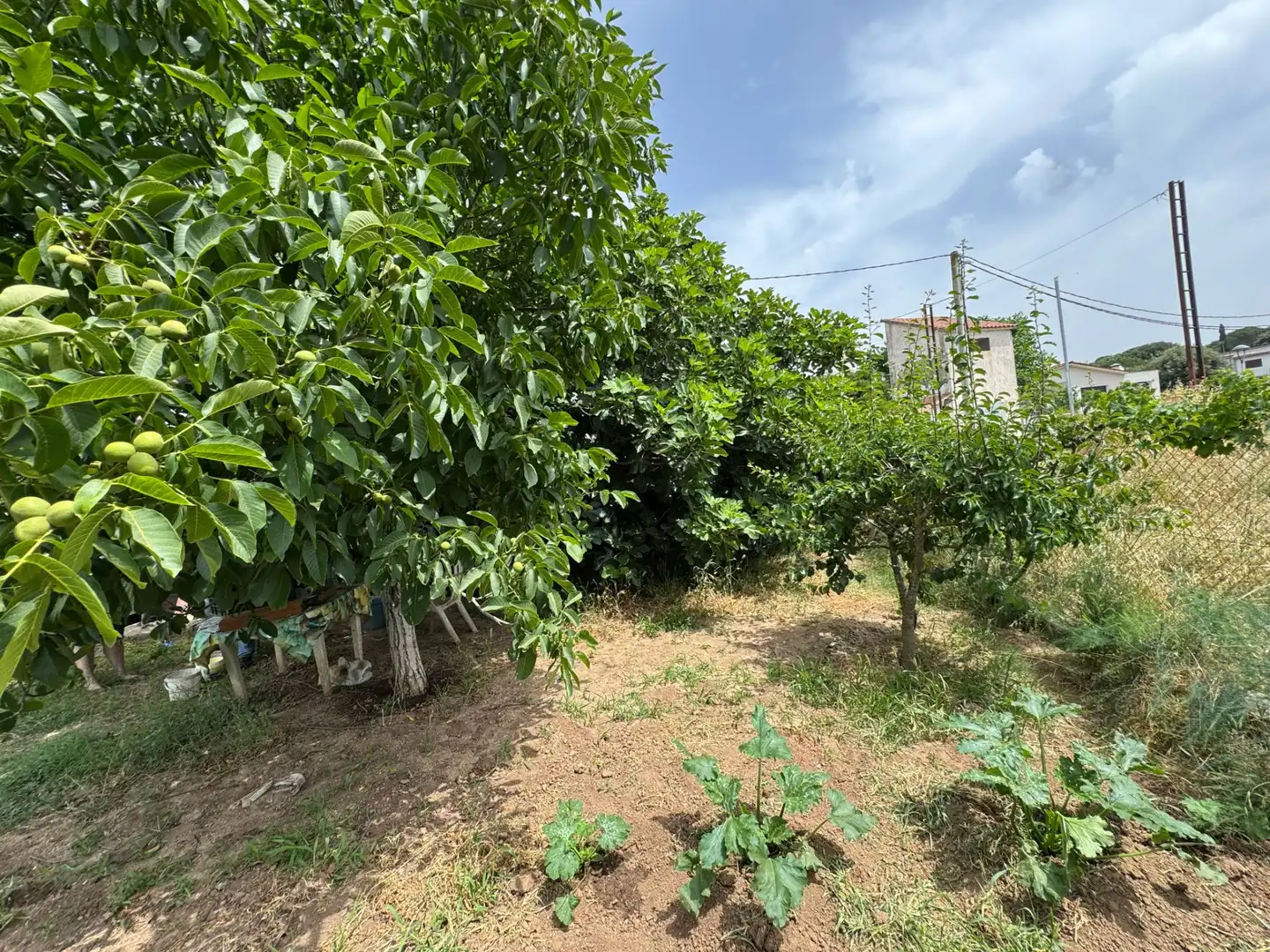 Residencial en venda en Sant Pere de Vilamajor