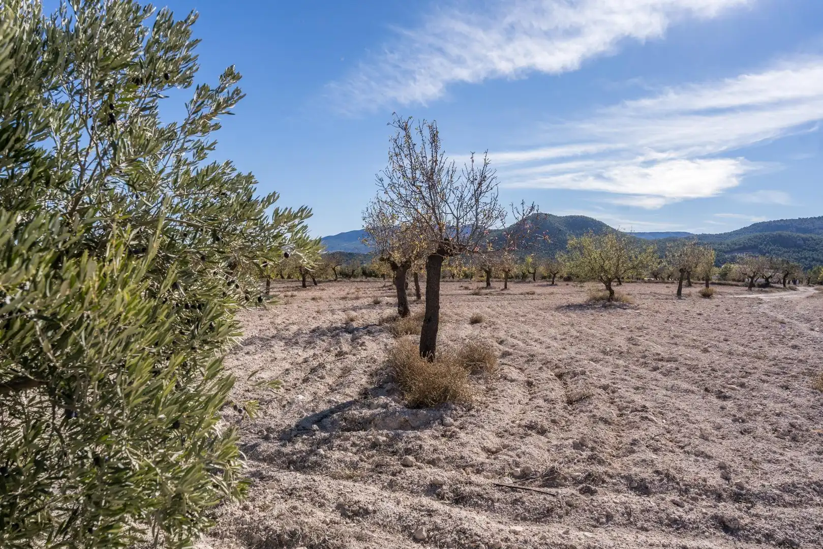 Finca rústica en venta en Vélez-Rubio con Calefacción, Jardín privado y Trastero