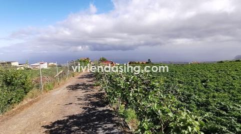 Foto 5 de Casa o xalet en venda a Camino la Iglesia, La Perdoma - San Antonio - Benijos, La Orotava