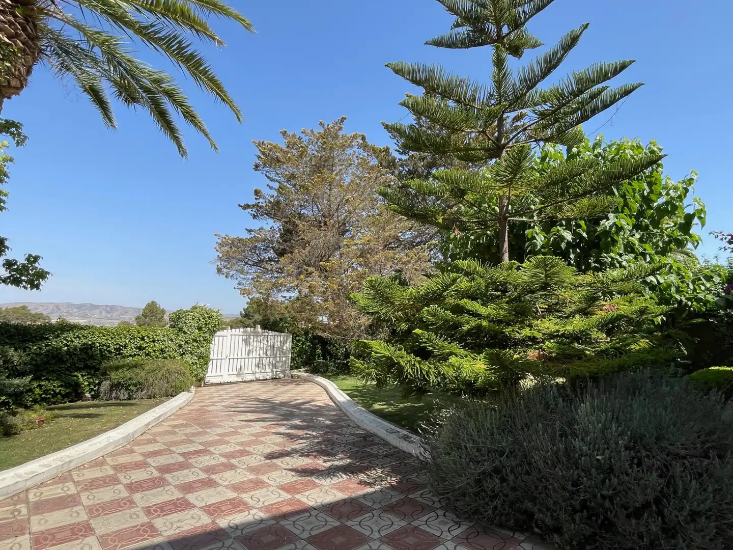 Jardín de Casa o chalet en venta en Petrer con Aire acondicionado, Calefacción y Jardín privado
