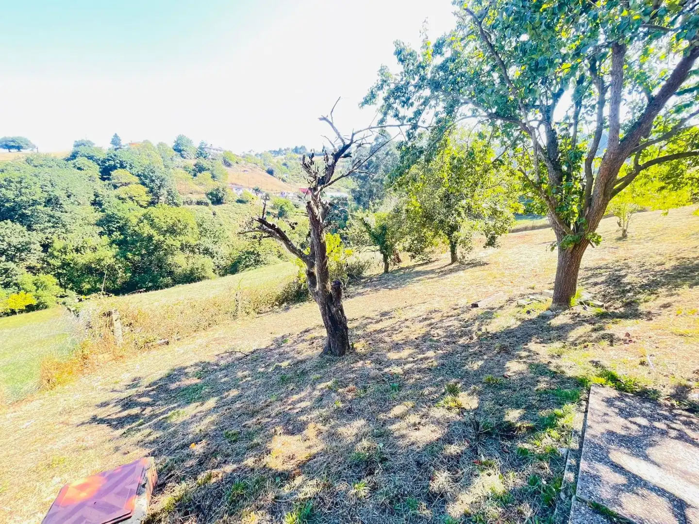Detached house for sale in Rural, imagen 11