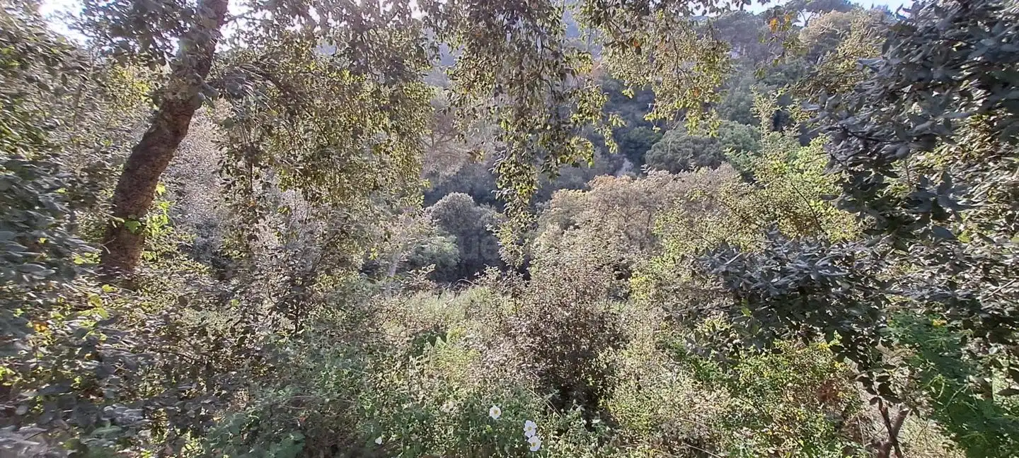 Lands and plots for sale in Can Massuet del Far, imagen 6