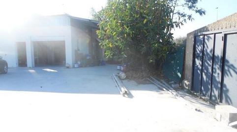 Foto 5 de Finca rústica en venda a La Algoda - Matola - Llano de San José, Elche / Elx