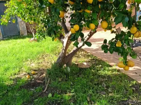 Casa aparellada en venda a José María Rodríguez de Tejada 14, imagen 3