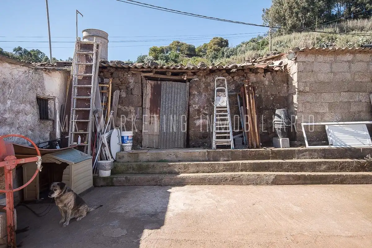 Vista exterior de Casa o chalet en venta en Moya (Las Palmas) con Jardín privado, Terraza y Trastero