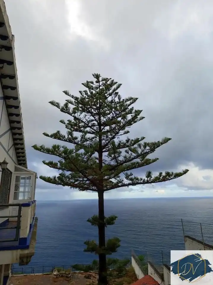 House with terrace for sale in Calle Violeta, imagen 3
