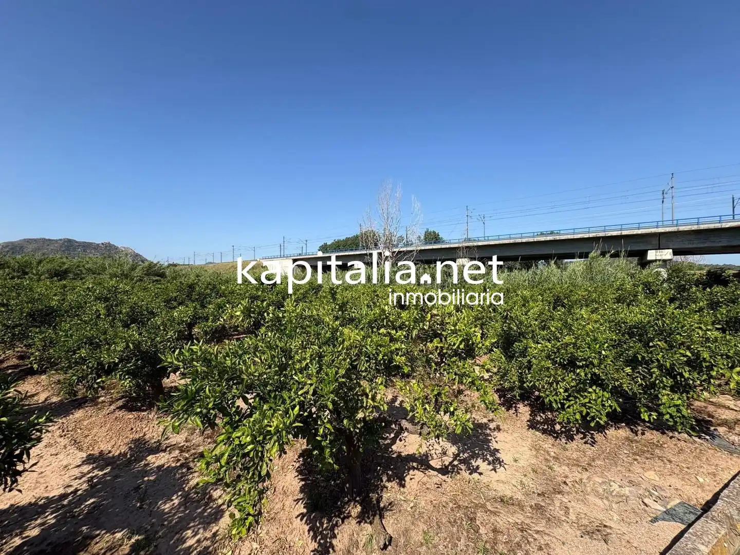 Finca rústica en venda en Rotglà i Corbera