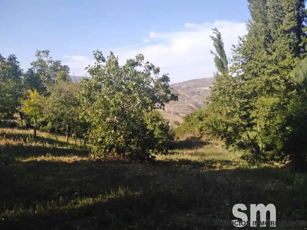 Terreno en venta en Zahara