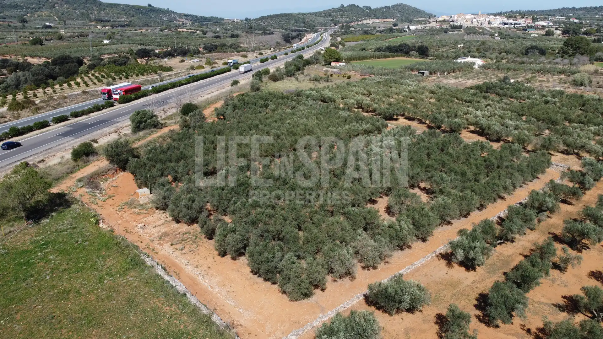 Terreno rustico in vendita a Freginals, imagen 11