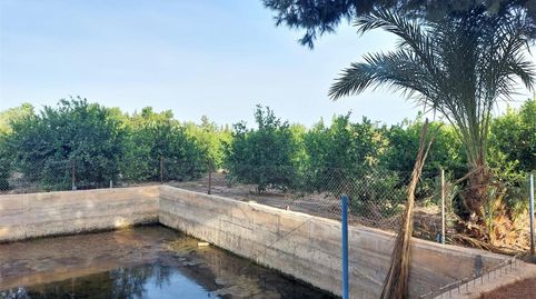 Foto 5 de Residencial en venta en Partida Daimes, La Foia - Daimés - Asprella, Elche / Elx