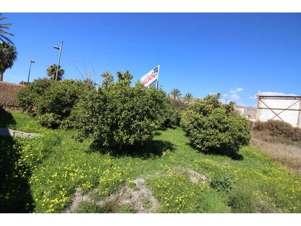 Terreno rustico in vendita a Carretera Alicún, imagen 9