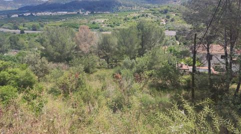Immagine 3 dell'annuncio
