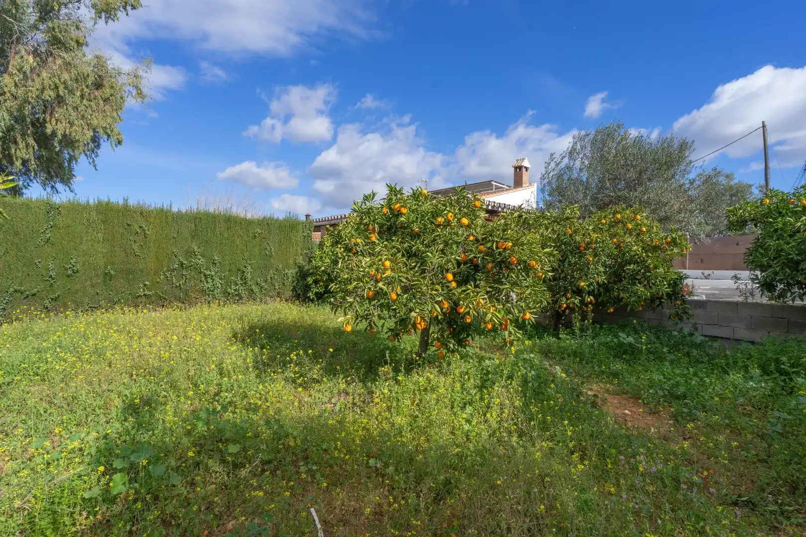 Casa o chalet de alquiler en Alhaurín El Grande con Jardín privado, Terraza y Amueblado
