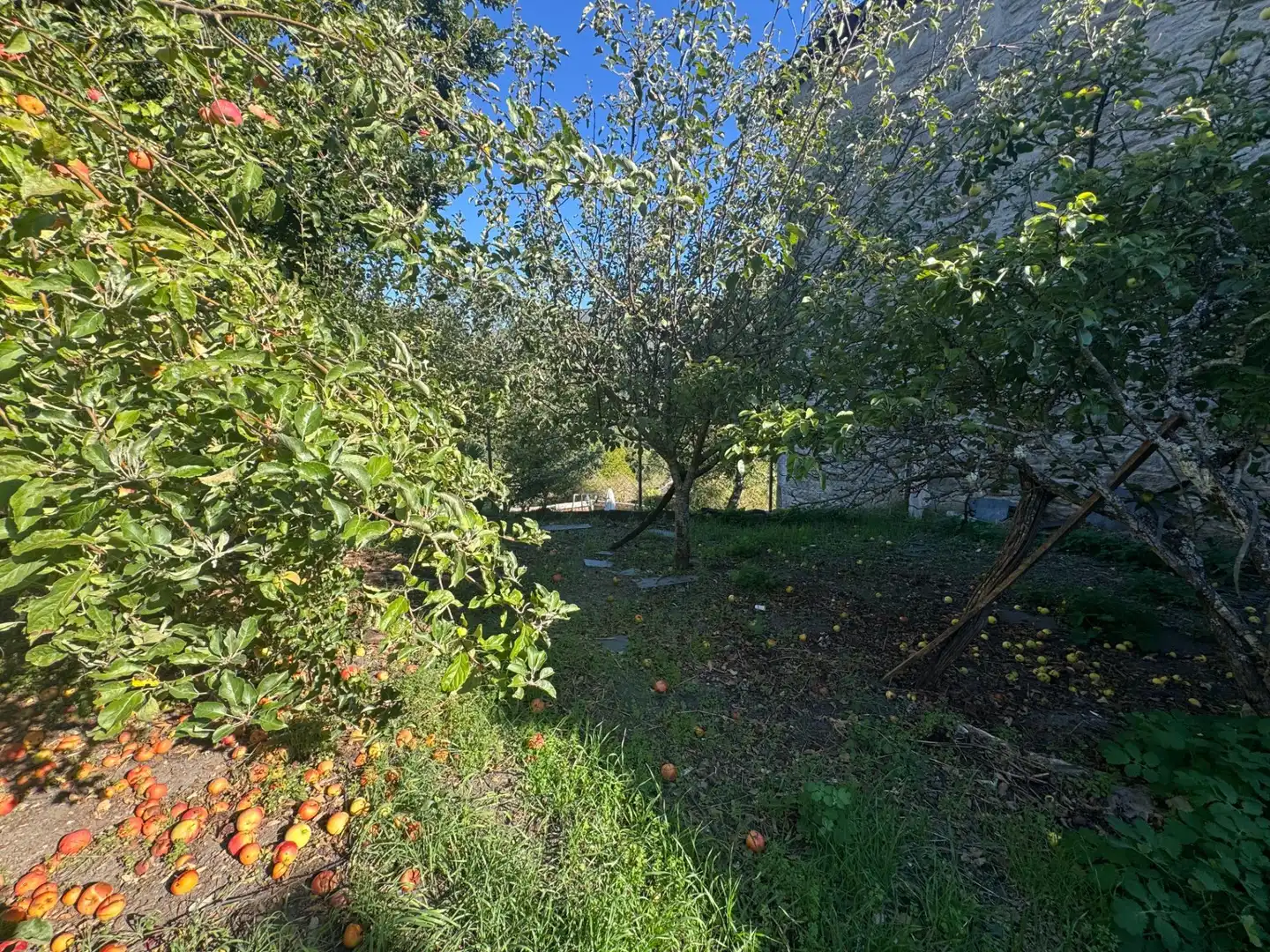 Casa o xalet en venda en Lubián, Zamora