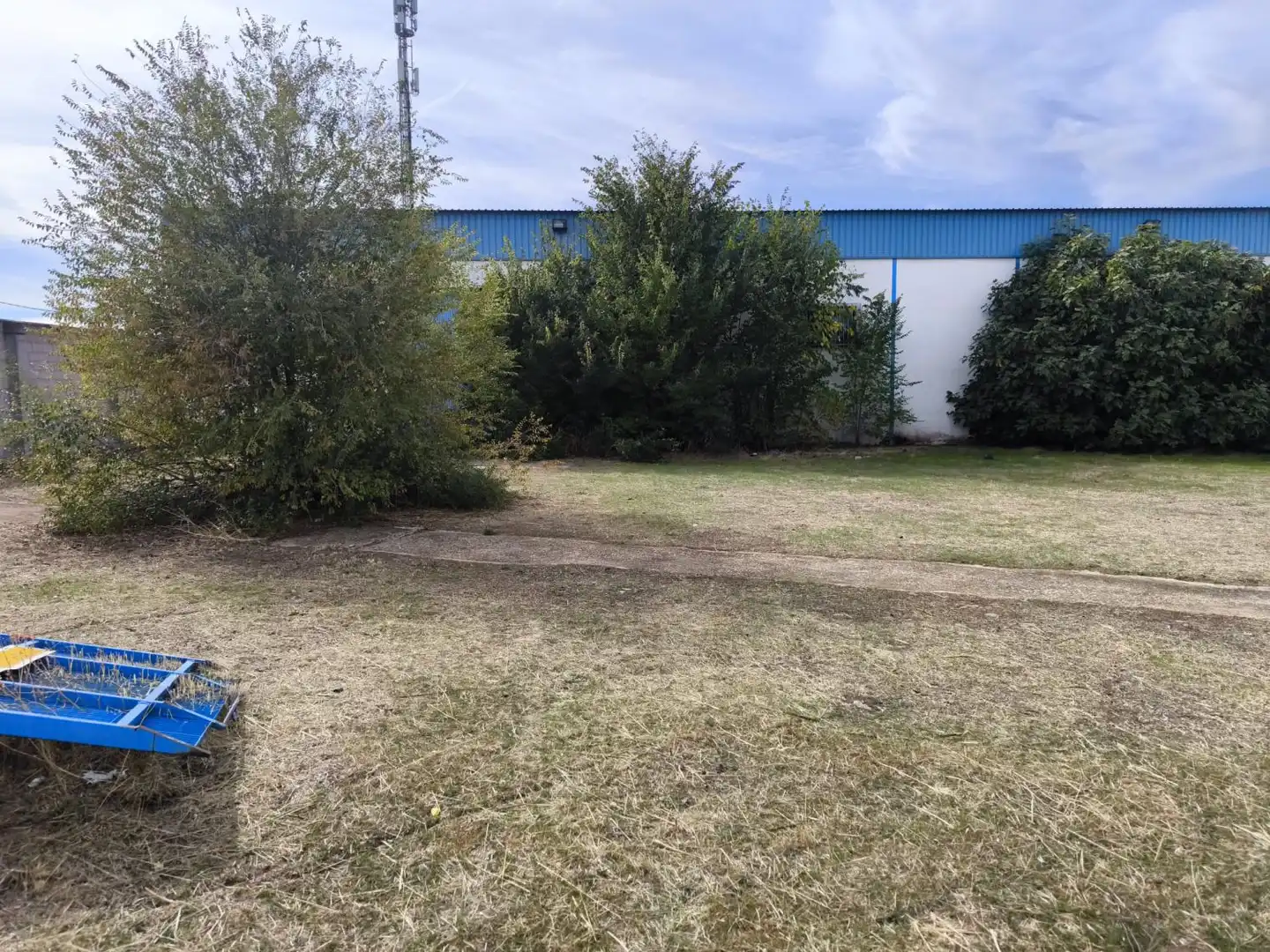 Lands and plots for sale in Valdepeñas, imagen 3