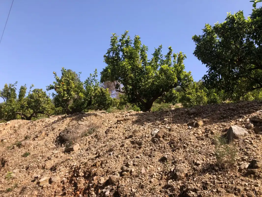 Terrain rustique à vendre à Plaça Poligono 11 15, imagen 25