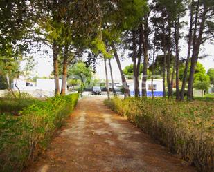 Vista exterior de Finca rústica en venda en  Albacete Capital amb Jardí privat, Traster i Piscina