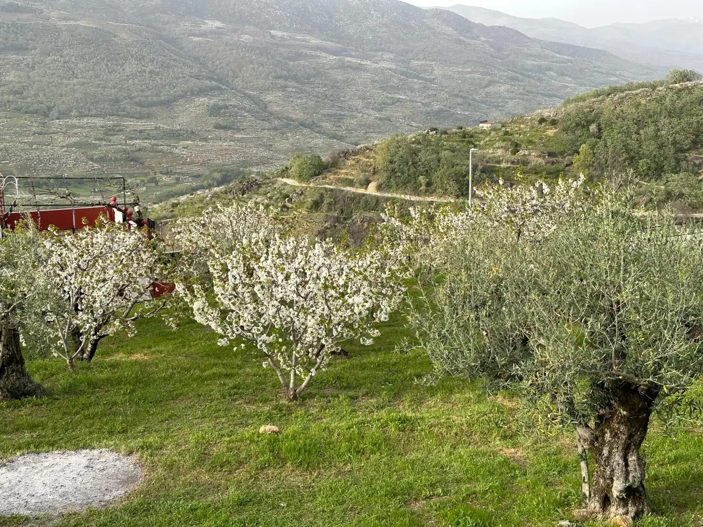 Garden of Residential for sale in Valdastillas