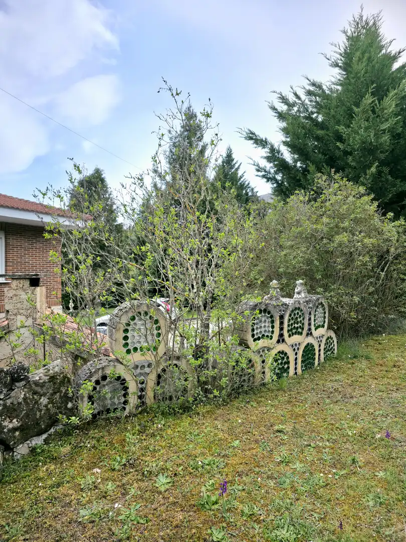 Jardí de Casa o xalet en venda en Pomar de Valdivia amb Calefacció, Jardí privat i Terrassa