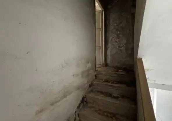 Casa pareada en venta en Paloma, imagen 4