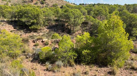 Photo 5 of Houses for sale in Camino Llano de las Cabras, Aledo, Murcia