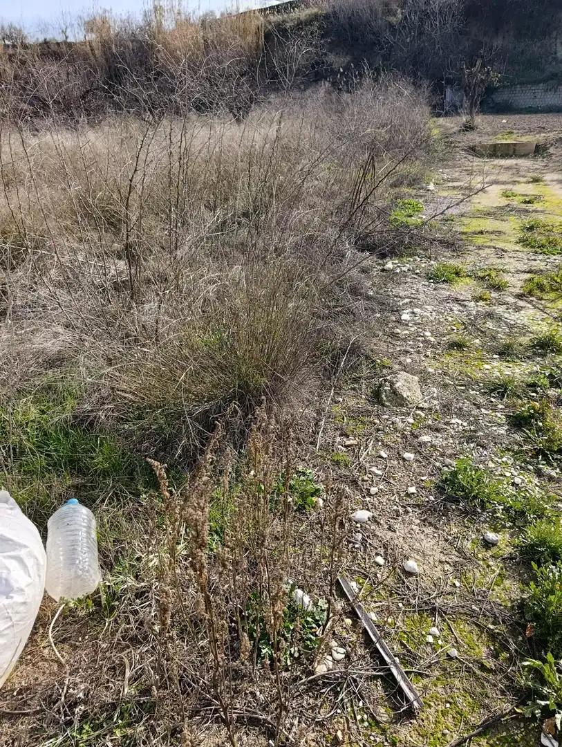 Rustikales Grundstück zum Verkauf in Cehegín, imagen 3