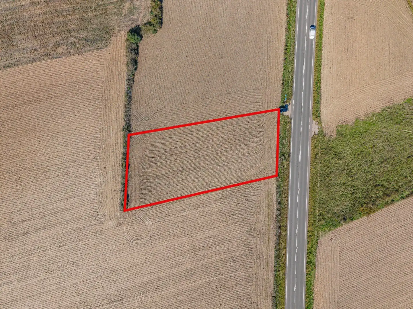 Rural land for sale in Carretera Carretera de Petra a Santa Margalida, imagen 3