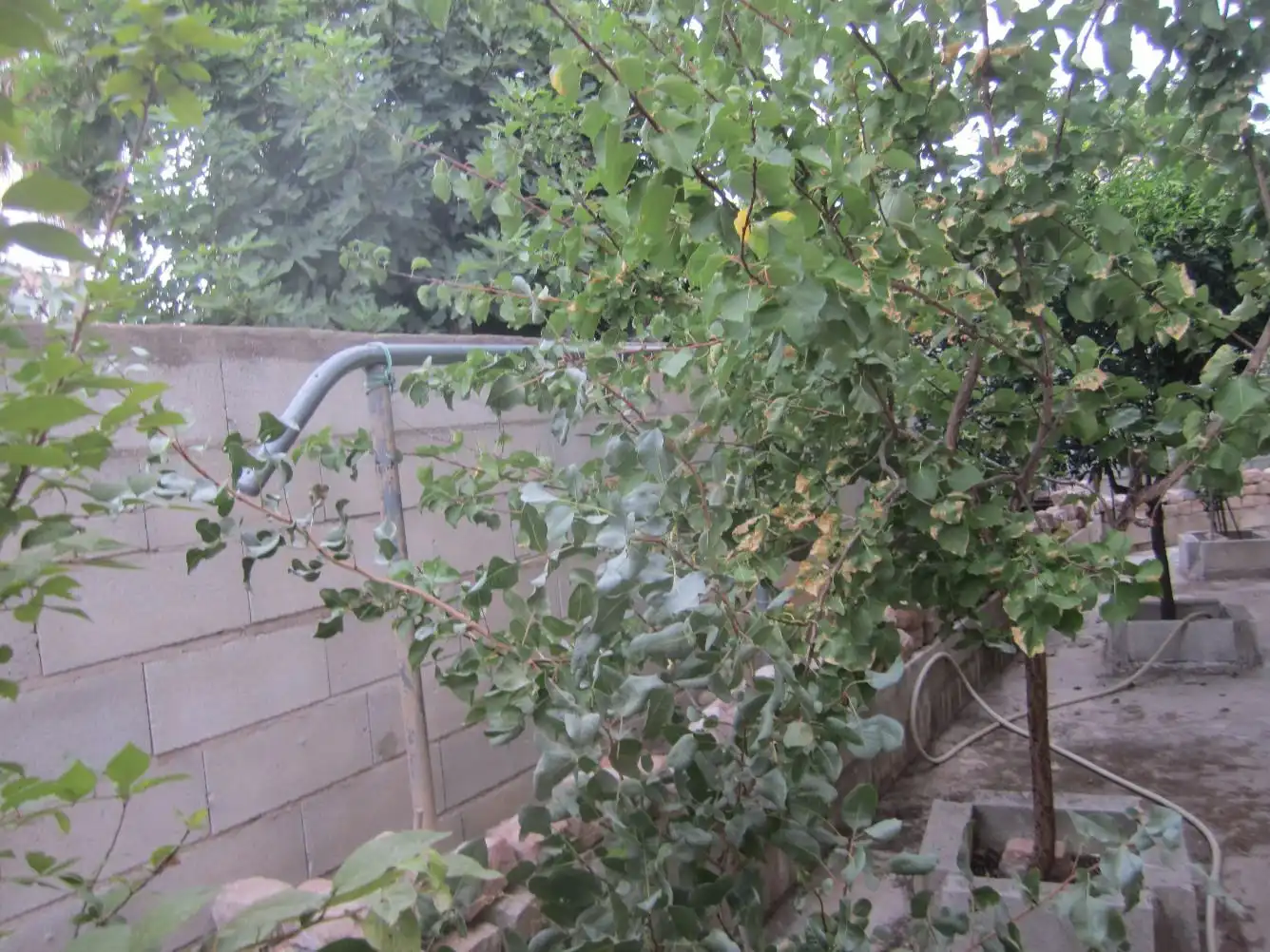 Garden of Flat for sale in Córdoba  with Storage room