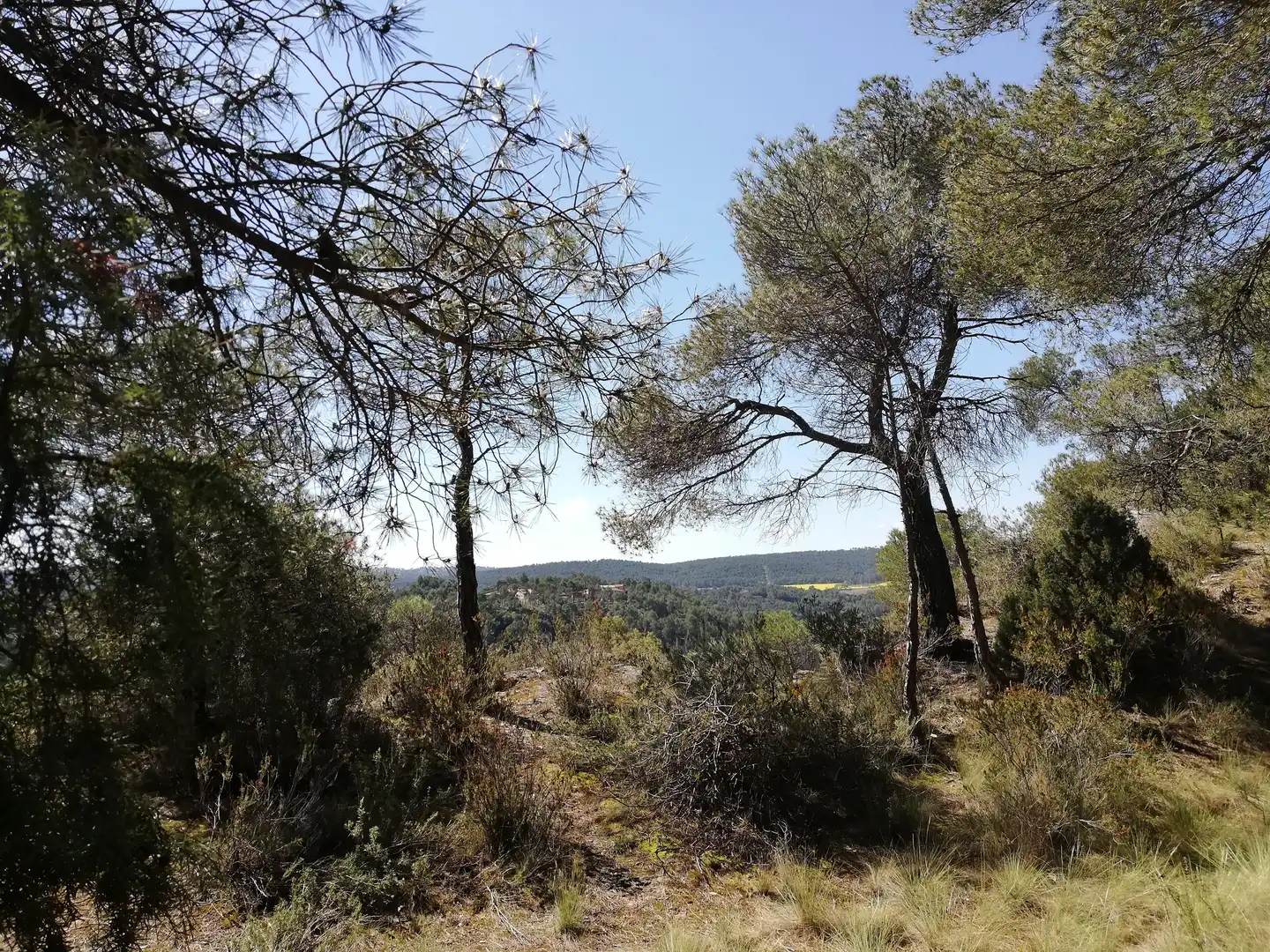 Residencial en venta en La Pobla de Claramunt