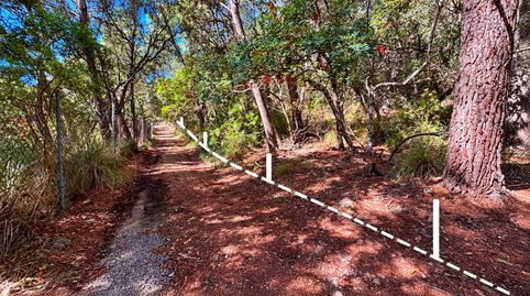 Terreno rústico de 14.000 m² en Son Net – Puigpunyent, Serra de Tramuntana., immagine 4
