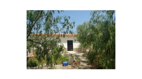 Foto 4 de Finca rústica en venta en Los Pedregales, Huércal-Overa, Almería