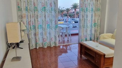 Photo 2 of Apartments for rent in Calle Manuel Ravelo, 1, Puerto de Santiago, Santiago del Teide