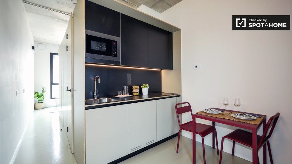Kitchen of Flat to rent in Sant Adrià de Besòs  with Air Conditioner, Heating and Furnished
