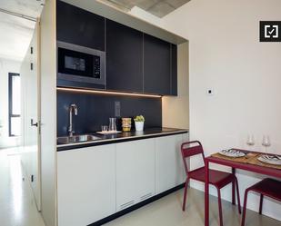 Kitchen of Flat to rent in Sant Adrià de Besòs  with Air Conditioner, Heating and Furnished