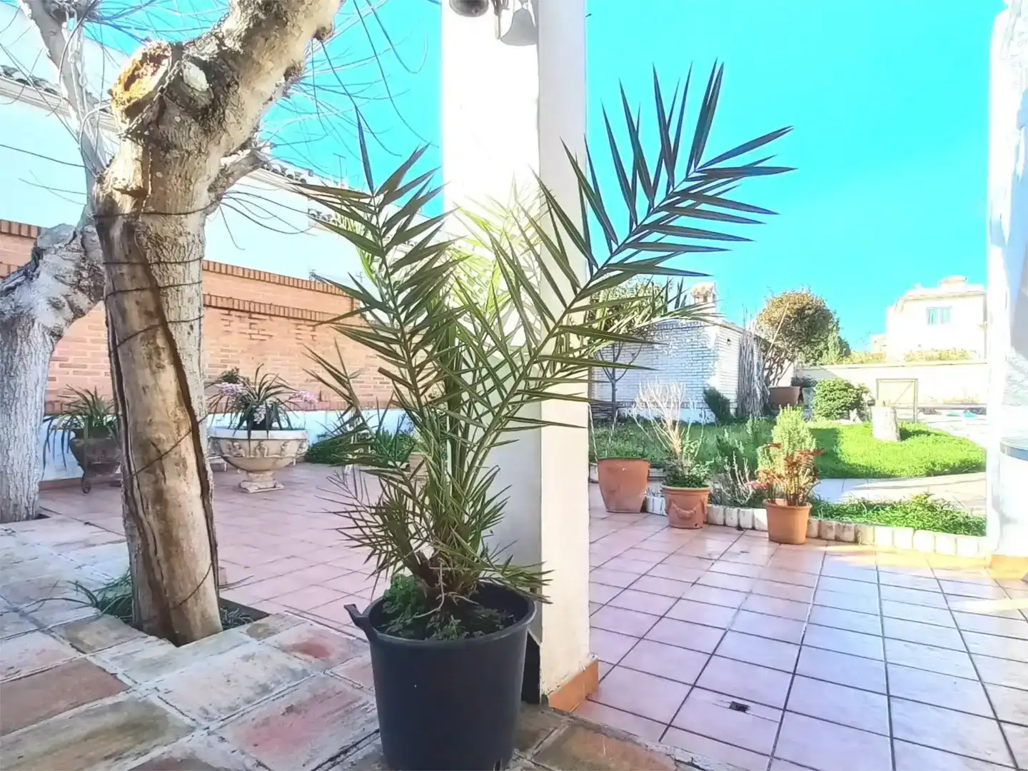 Terrassa de Casa o xalet en venda en Gandia amb Piscina