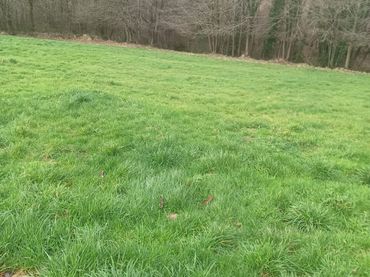 Terreno rustico in vendita a Tineo