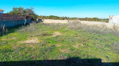 Foto 3 de Terreno en venta en Calle las Boneas, 4, Carretera de Sanlúcar - Sudamérica, Cádiz