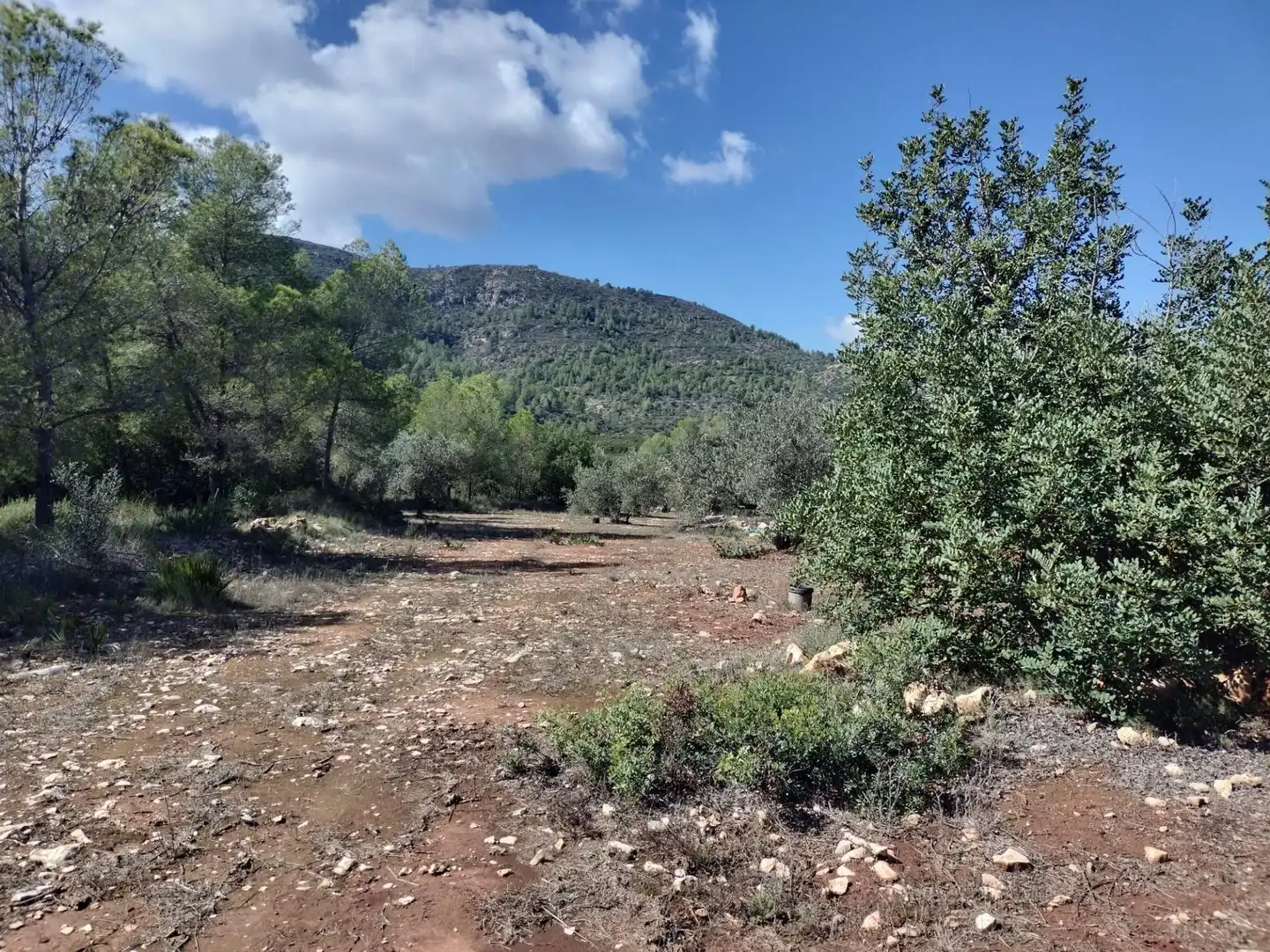 Rustikales Grundstück zum Verkauf in Xàtiva, imagen 10