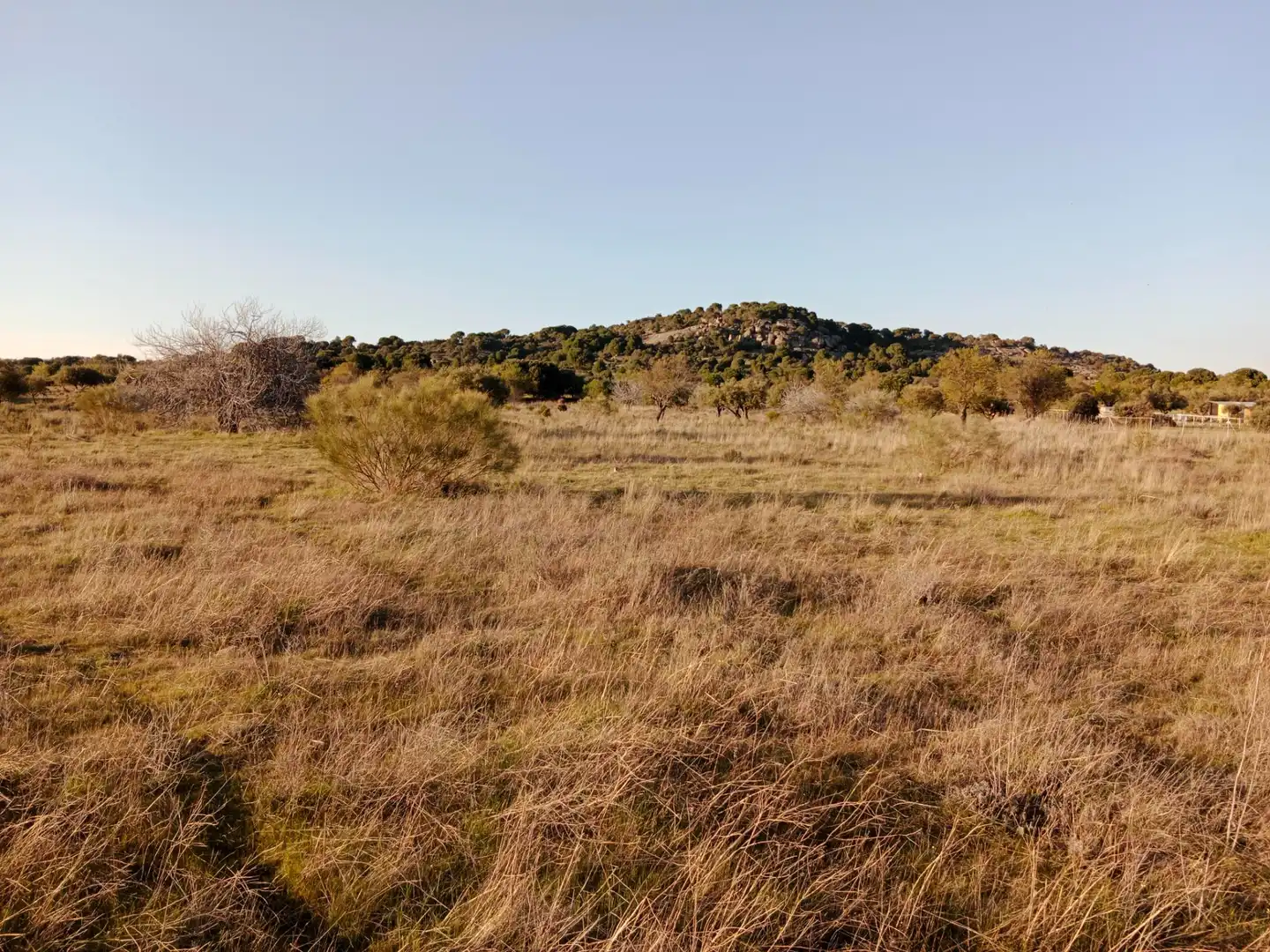 Terreno rustico in vendita a Camino Barzales, imagen 10
