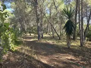 Rustikales Grundstück zum Verkauf in Partida Cumbres de Calicanto, imagen 9