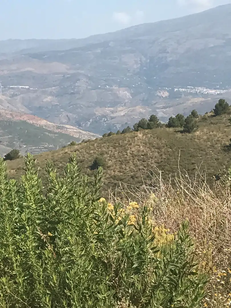 Rustikales Grundstück zum Verkauf in Motril  ciudad, imagen 20