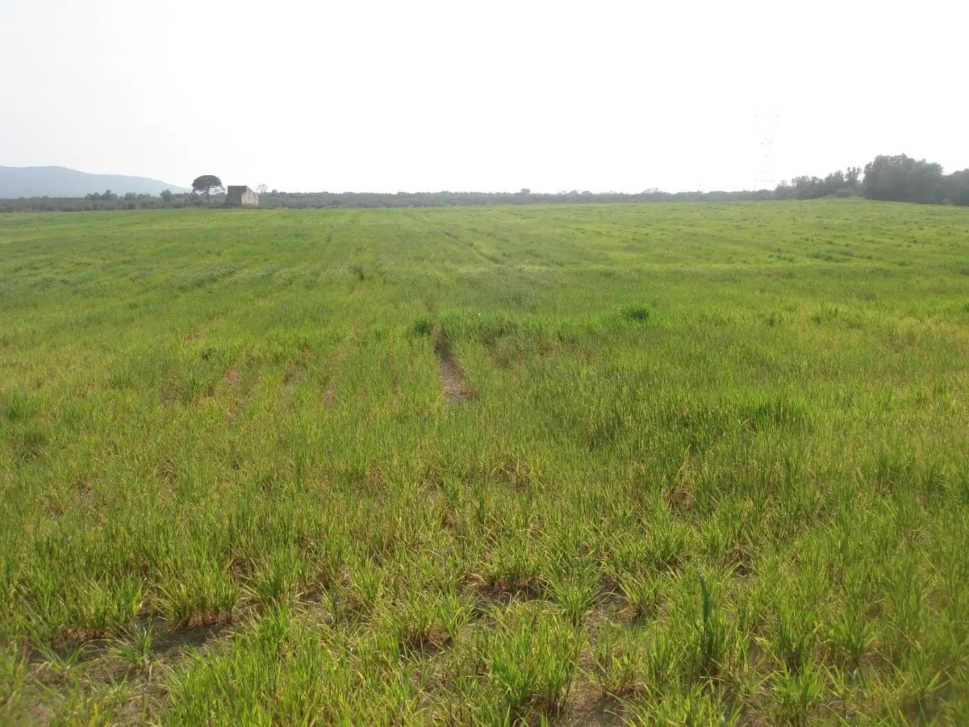 Terreno rustico in vendita a Godall, imagen 11